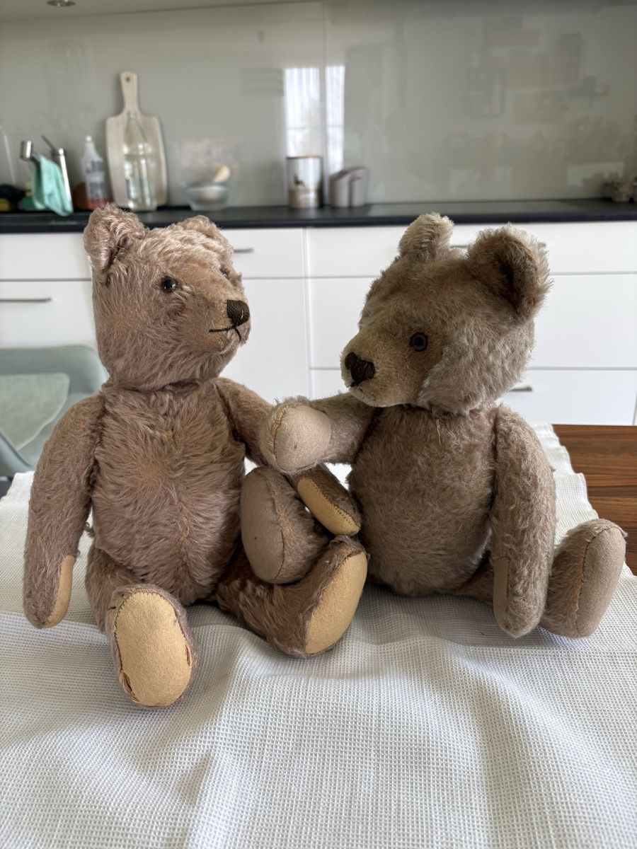 Steiff Spielzeuge: Steiff Teddys – Gebraucht aus Schönenberg ZH von Roxana8820