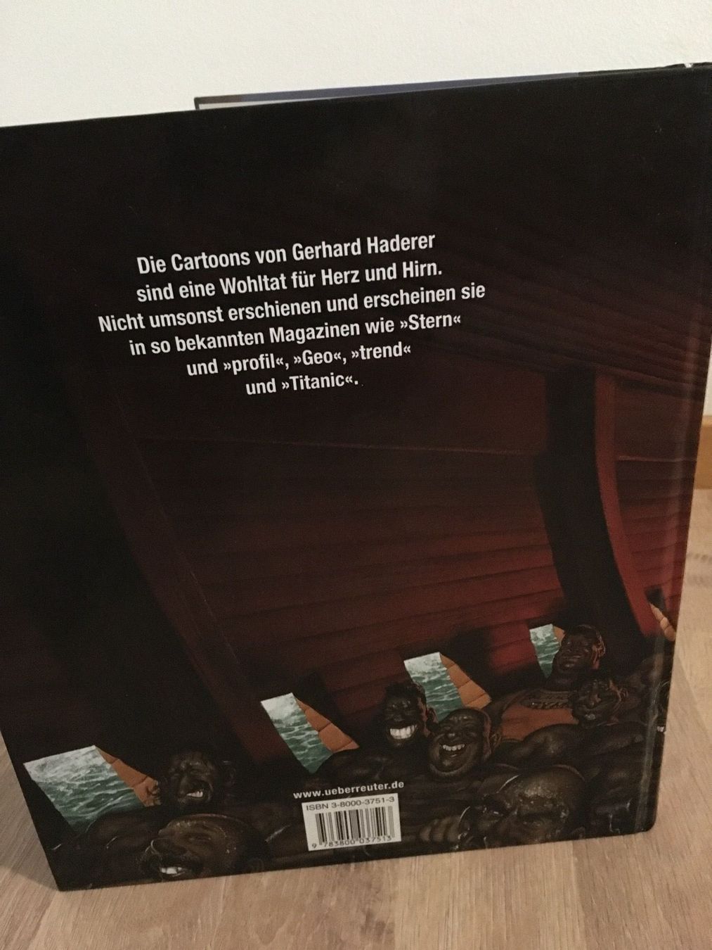 Libri: Buch - Think Positive - Die besten Cartoons - Haderer – Usato da Andwil SG venduto da Rainboli 2