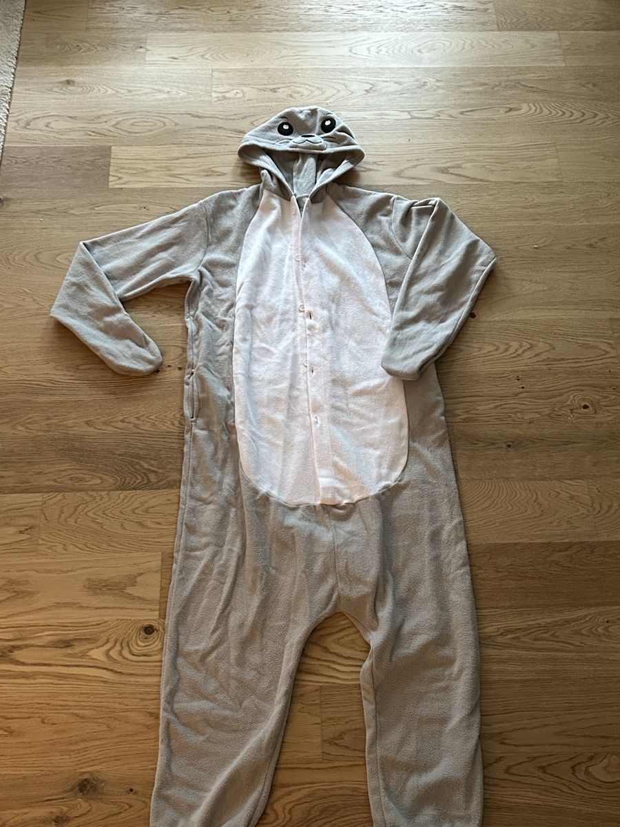 Kuscheliger Robben Onesie / Robbenkostüm (Gebraucht) in Andelfingen für ...