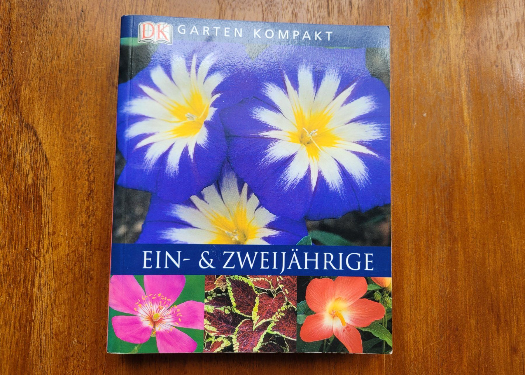 Libri: DK Garten Kompakt: Ein- & Zweijährige – Nuovo (secondo la descrizione) da Unterengstringen venduto da orpheo13