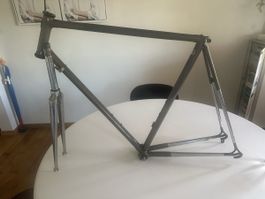 Colnago Rahmen naked