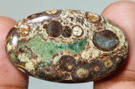 Cabochon L-8597 – Krokodil Jaspis 39X23X6mm 46 Karat