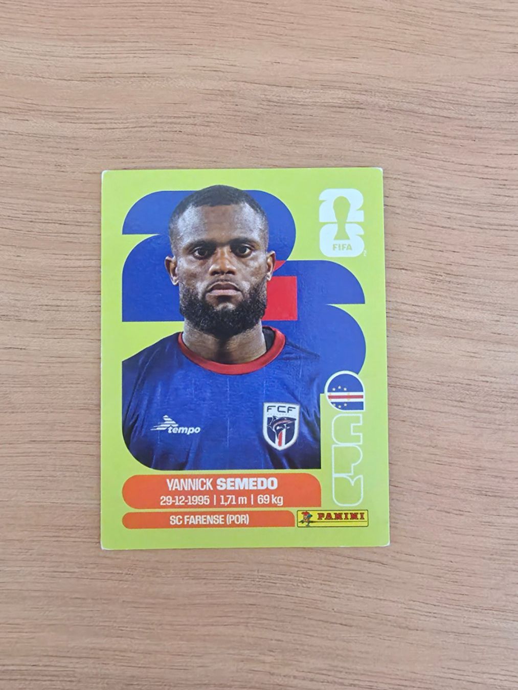 Panini Carte collezionabili: Panini Fifa CPV 9 – Usato da Malters venduto da mat_6102