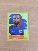 Panini Fifa CPV 9