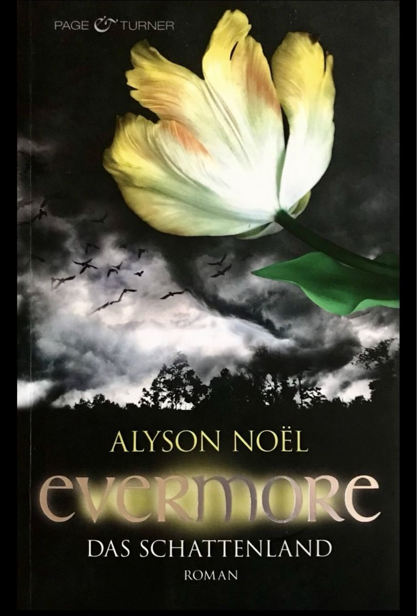 Libri: EVERMORE - ALYSON NOËL - TASCHENBUCH – Usato da Buchs AG venduto da fischli610