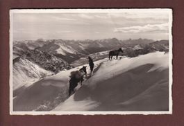 Säumer nach der WEISSFLUHHÜTTE - 1939 // Falte //