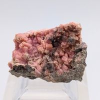 Seltene ROSA INESIT, DOPPELTER Farbton, USA