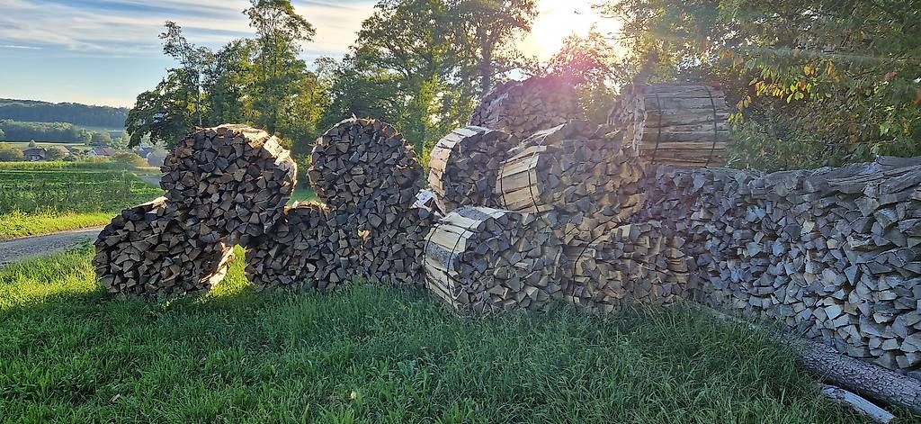 Articles en bois: Brennholz/Chemineeholz – D'occasion à Adlikon par renpschd 3