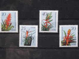 DDR 1988 Bromelien **