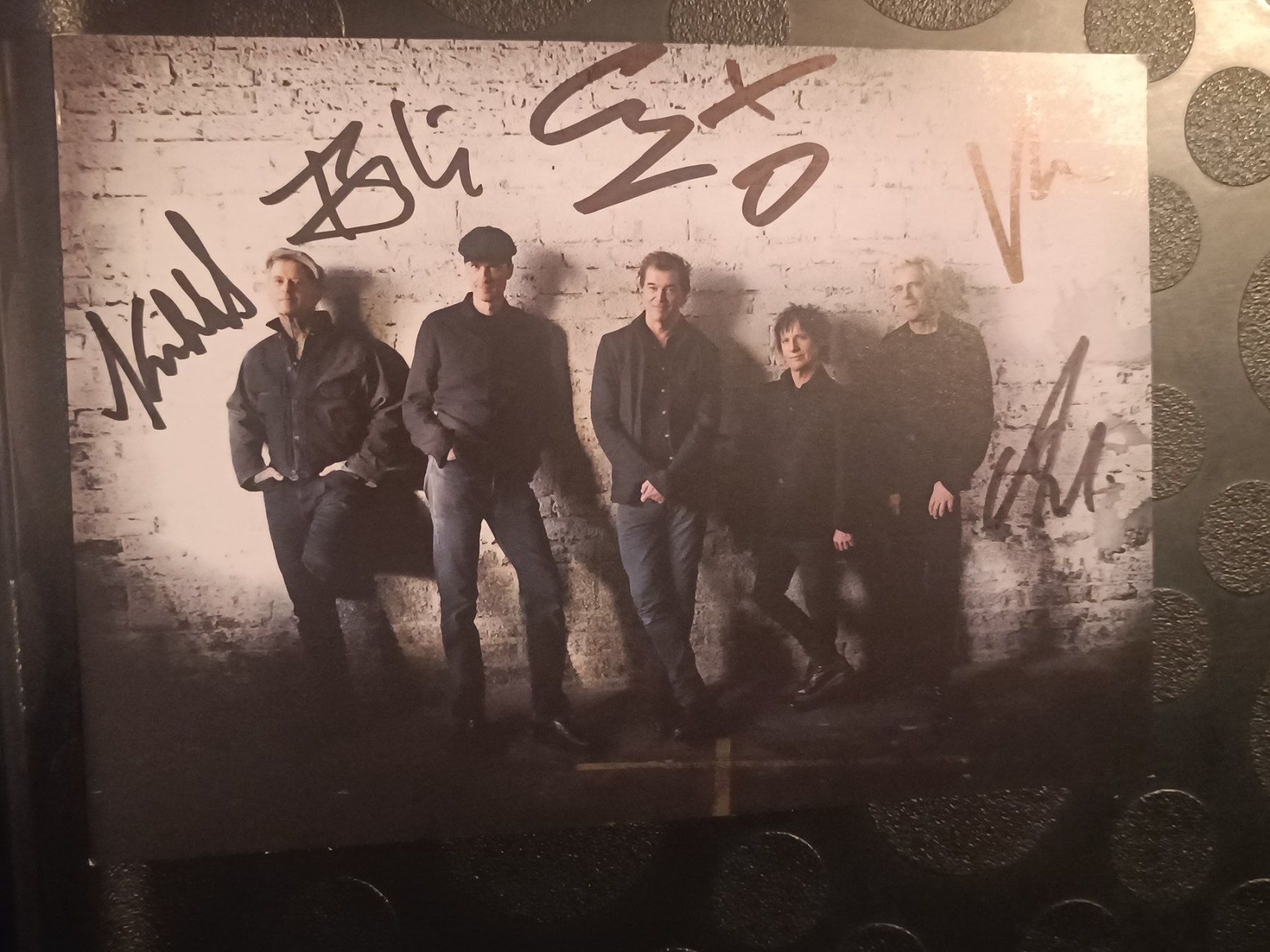 Autografi: Die Toten Hosen - handsignierte Autogrammkarte – Usato da Menziken venduto da Artographs