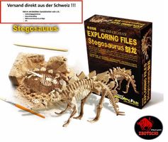 Stegosaurus Ausgrabungsset Spielzeug Fossil Ausgraben Bastel