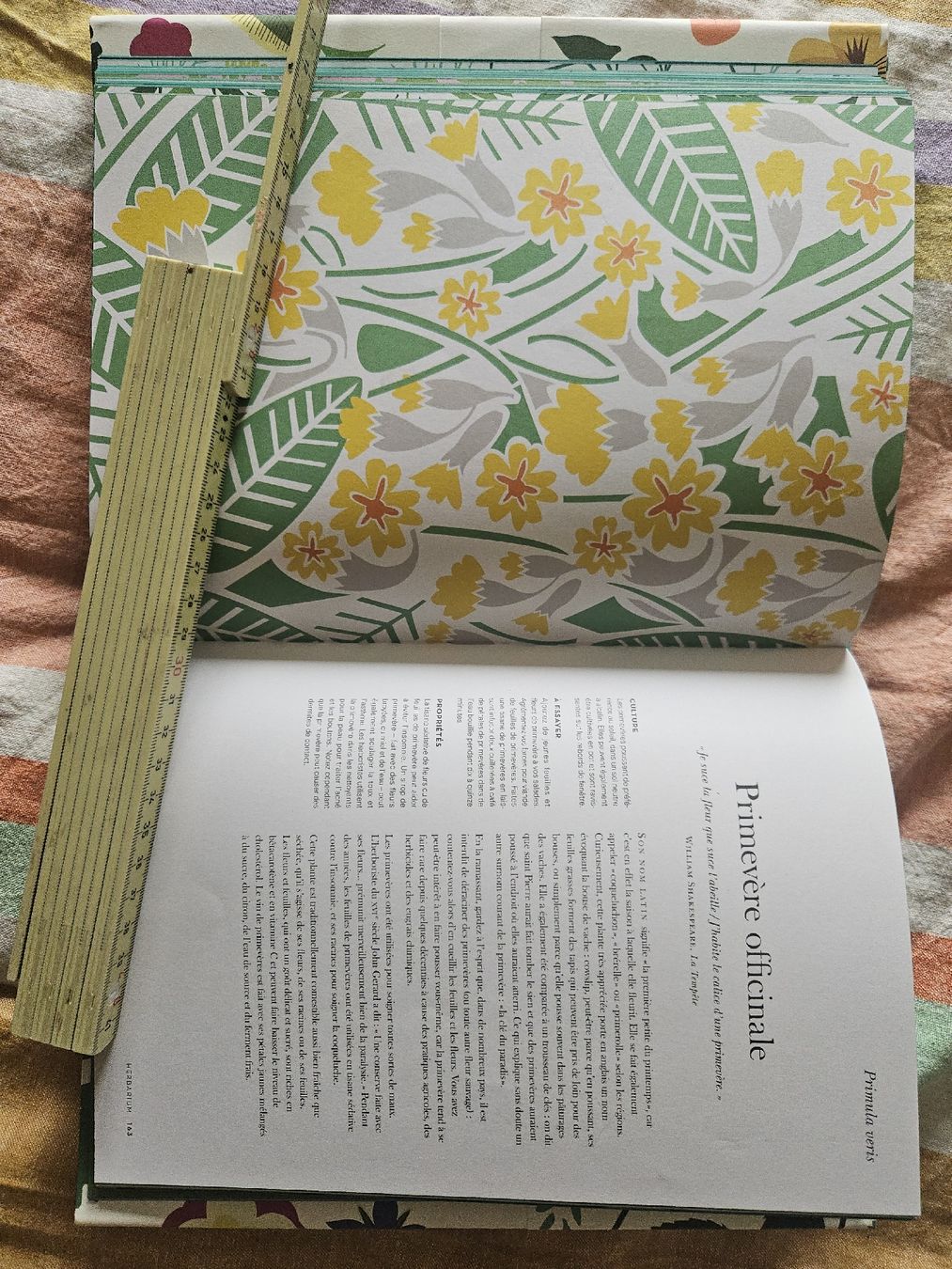 Libri: Herbarium Marabout  – Nuovo e nell'imballaggio originale da Thônex venduto da lacomtessedesfees 4
