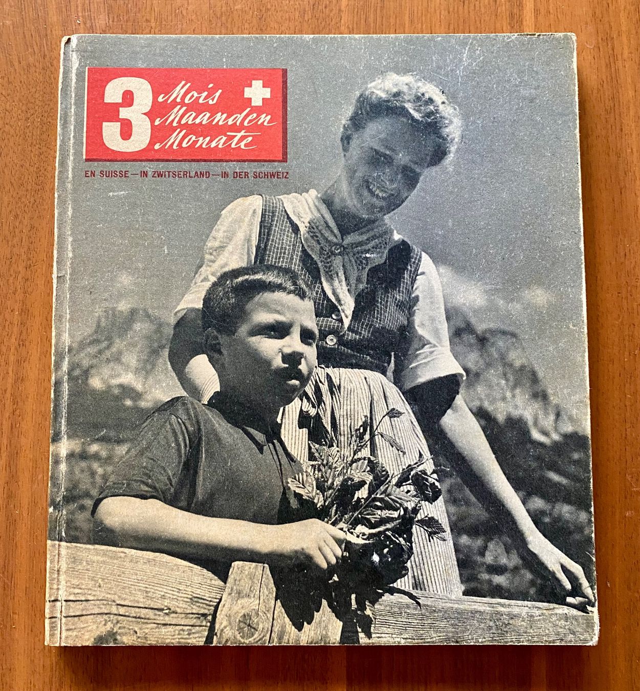 Libri: 3 Monate Ferien in der Schweiz – Usato da Nussbaumen AG venduto da schuba2000