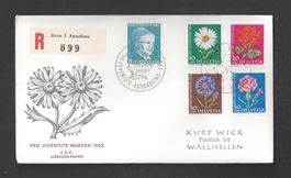 1963 Privater FDC Pro Juventute LEUCHTSTOFF 200L-204L LUXUS