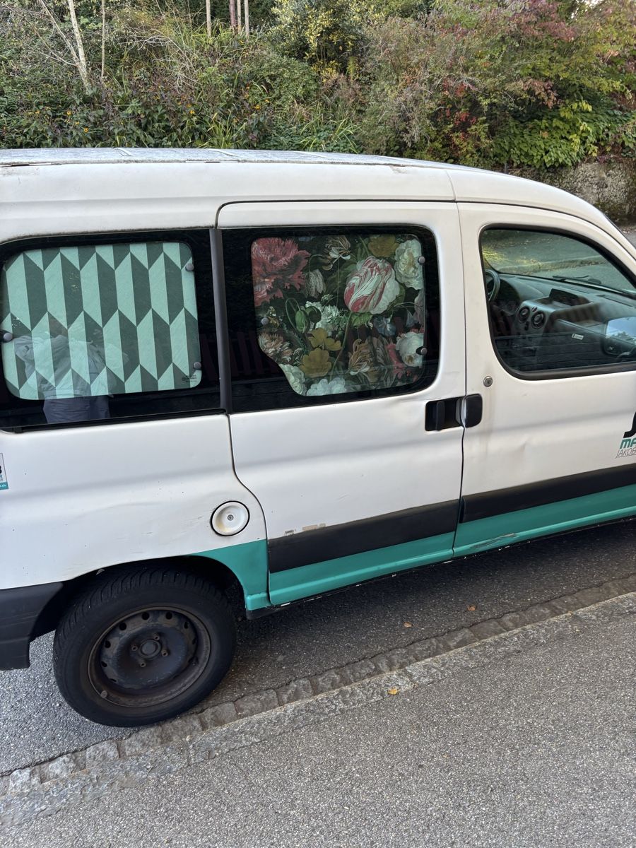 Peugeot Veicoli commerciali: Peugeot Partner 1.4i – Usato da St. Gallen venduto da lor_65bk 2