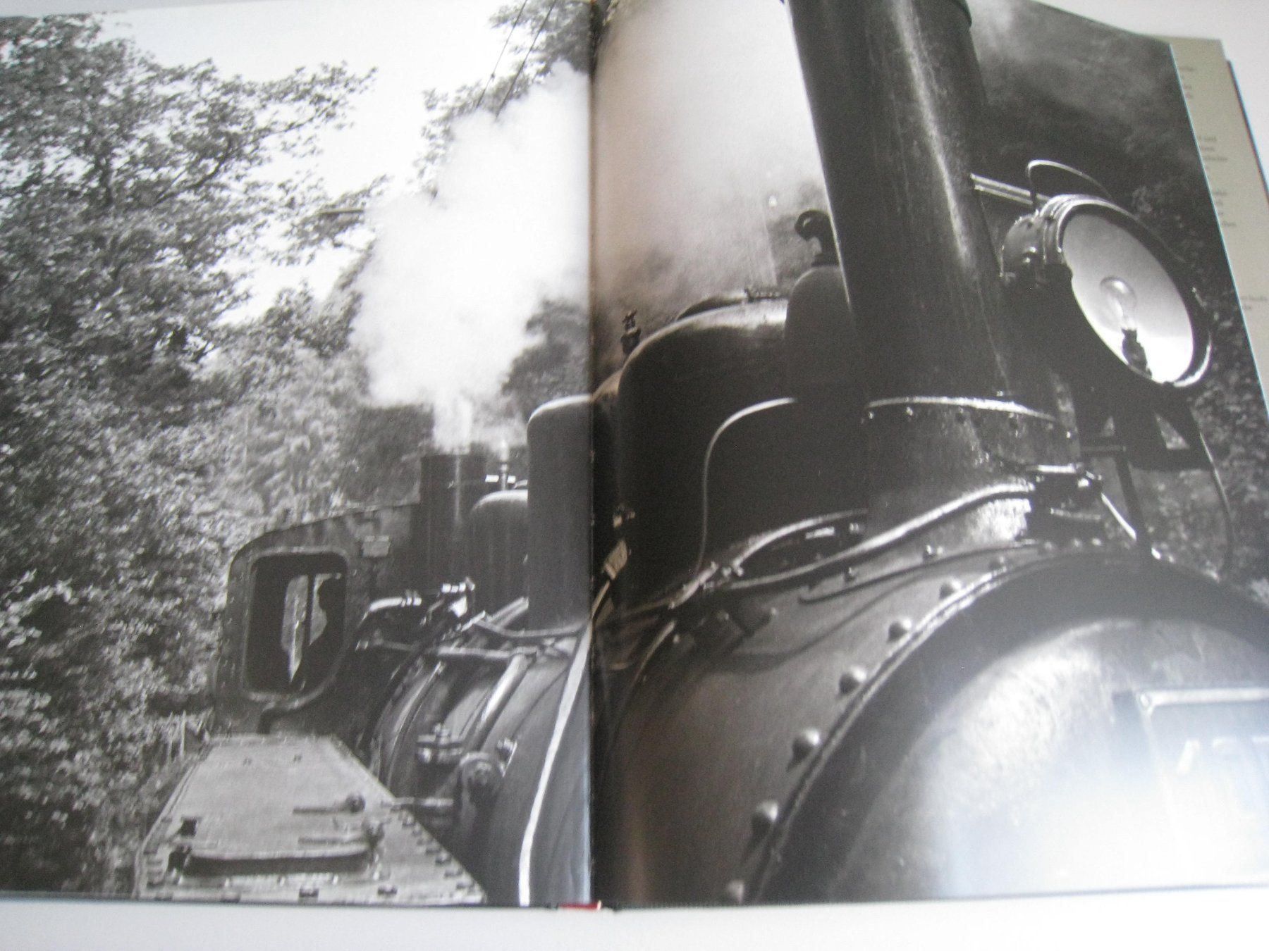 Libri: Bahnalltag, AS Verlag von 2007 – Usato da Buchs ZH venduto da swiss-train 8