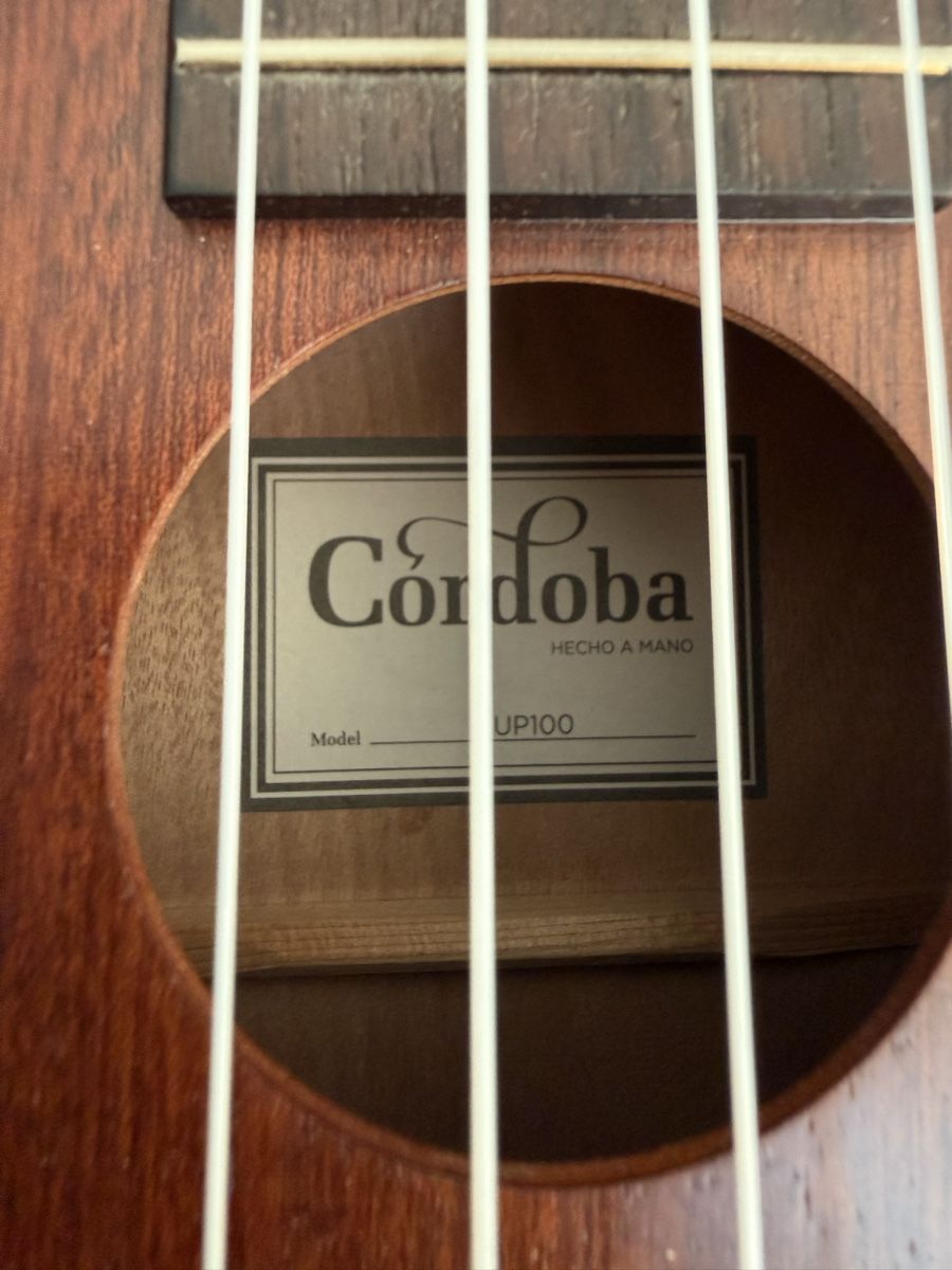 Instruments de musique: Cordoba UP100 Ukulele excellent condition with case – D'occasion à Zürich par ljjud 2