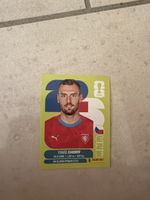 Panini cze 17