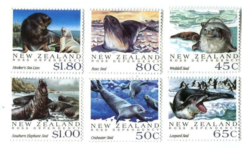 Tutti i francobolli: Briefmarken "Seeleopard, Seelöwe, See-Elefant". Neuseeland – Nuovo e nell'imballaggio originale da Basel venduto da Butsch5
