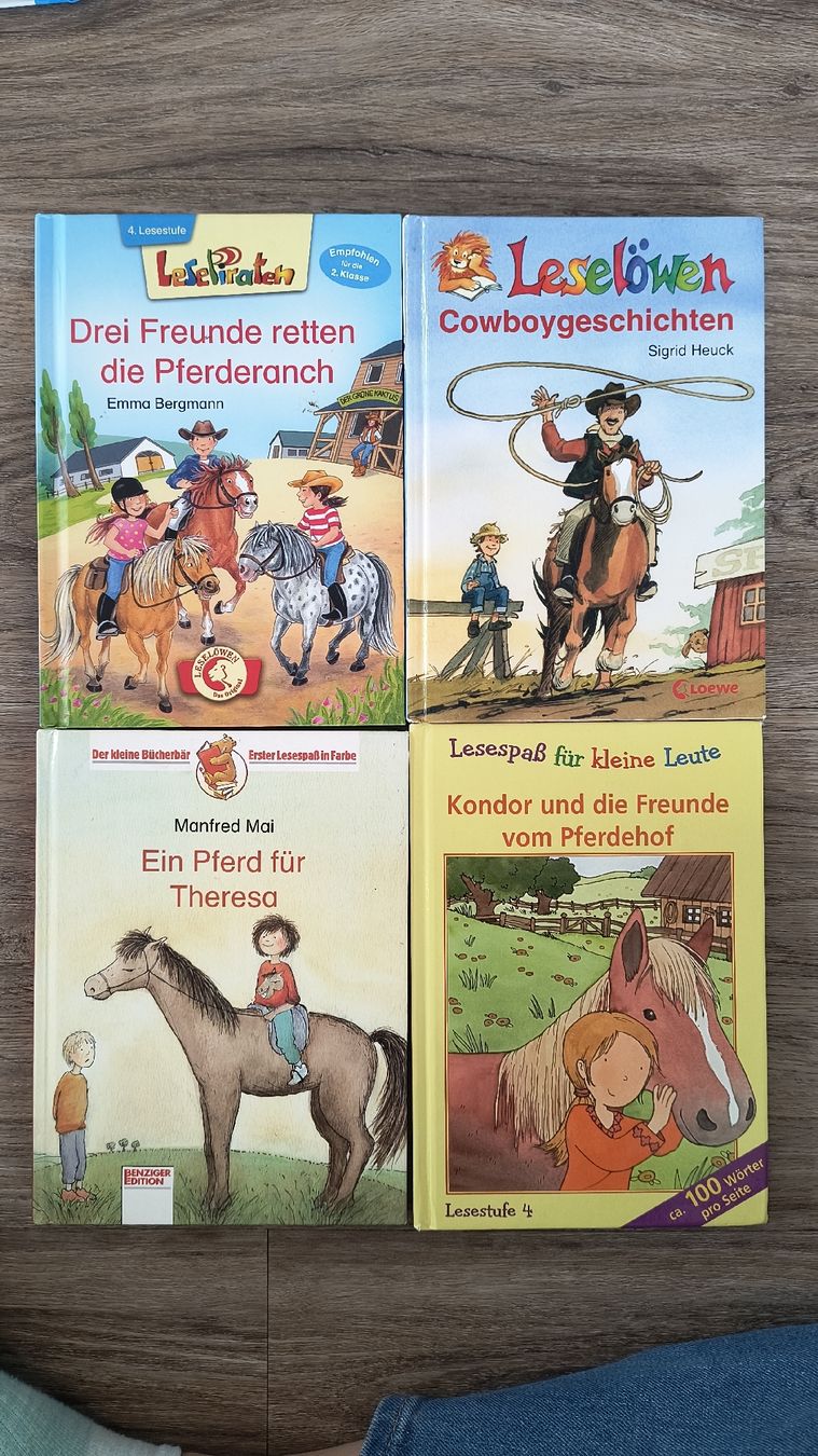 Libri: 4 Lesebücher, Lesestufe 4 – Usato da Neuenkirch venduto da ele99