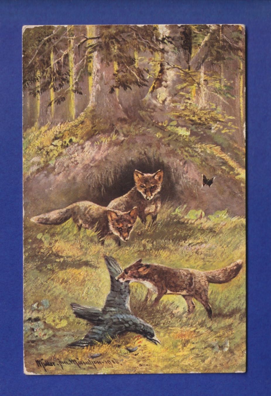 Cartes postales: RENARD à la chasse – D'occasion à Pully par nicecards-shop