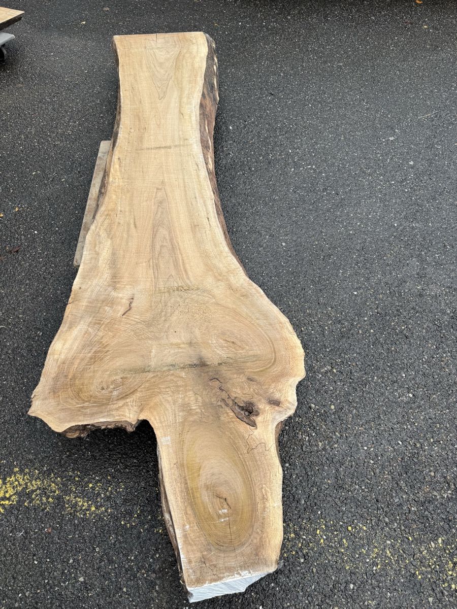 Articoli in legno: Nussbaum Klotzbrett 280  cm lang! – Usato da Gränichen venduto da onkel_xxl 4