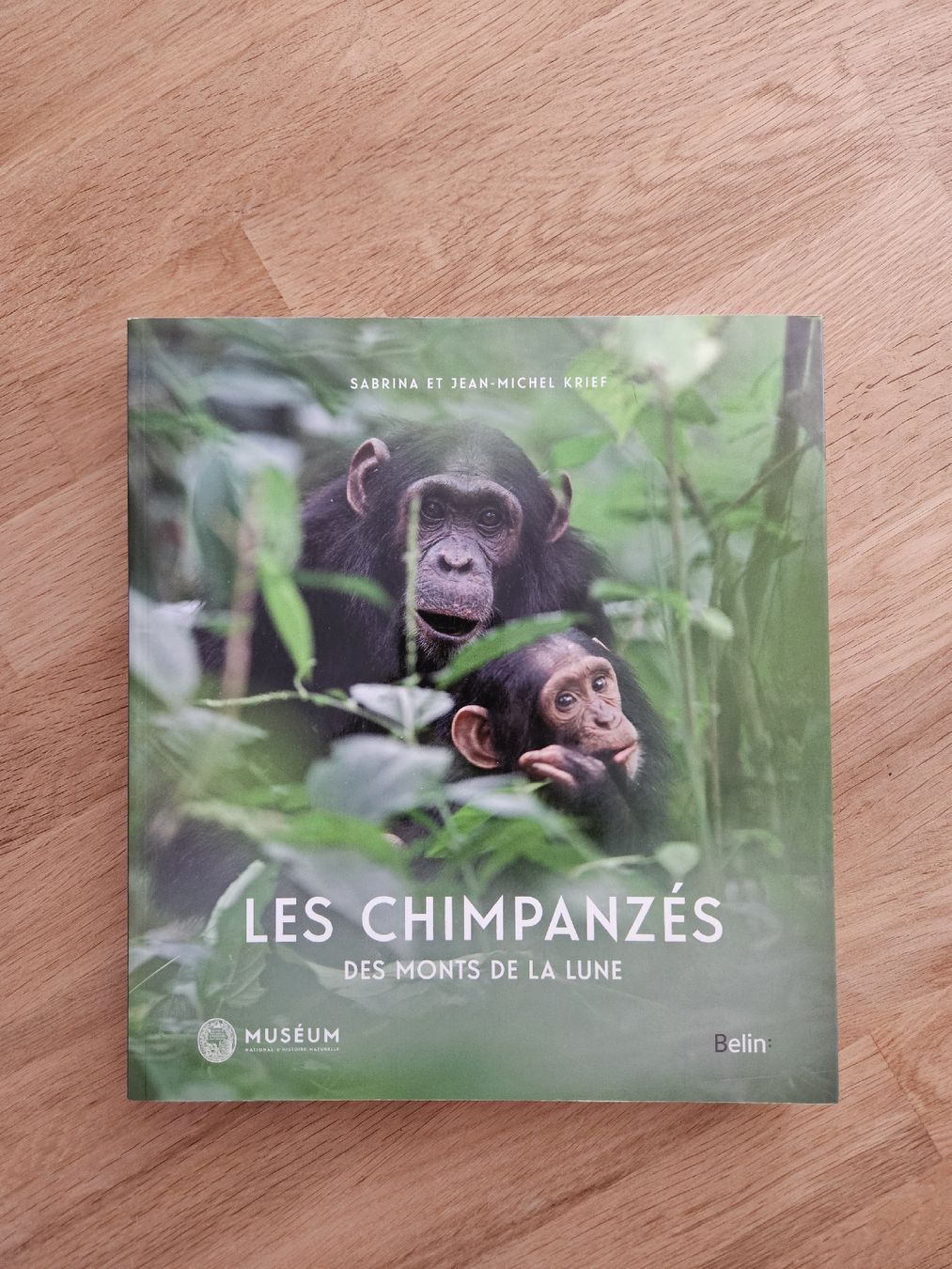 Bücher: Les Chimpanzés du Mont de la Lune - documentaire – Neu und originalverpackt aus Bulle von janeyreadsonthetrain