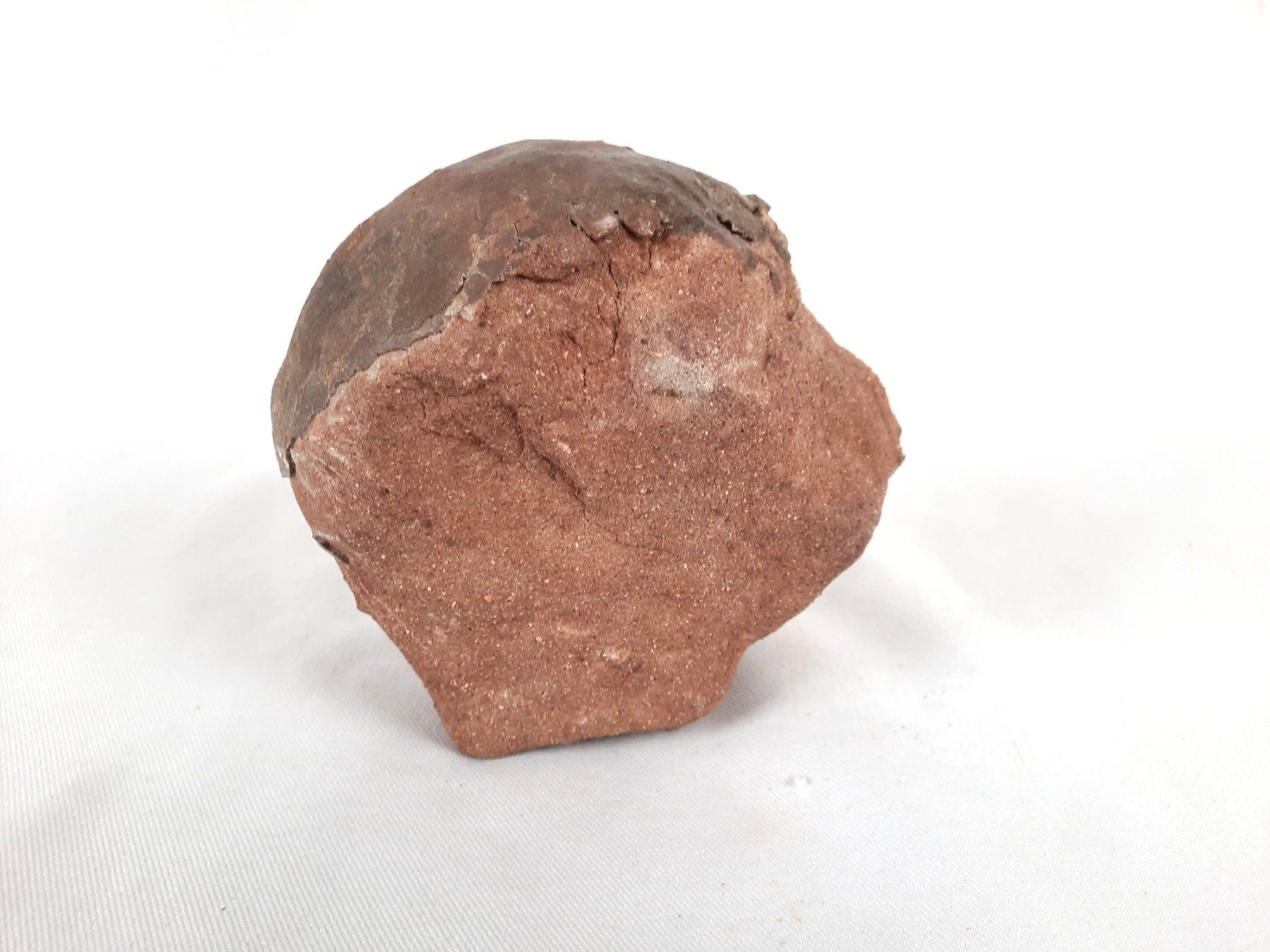 Fossili: Dinosaurier Ei versteinert – Usato da Beinwil am See venduto da Restwert_Beinwil 2