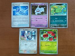 Pokemon Reverse Karten Set (Versand gratis)