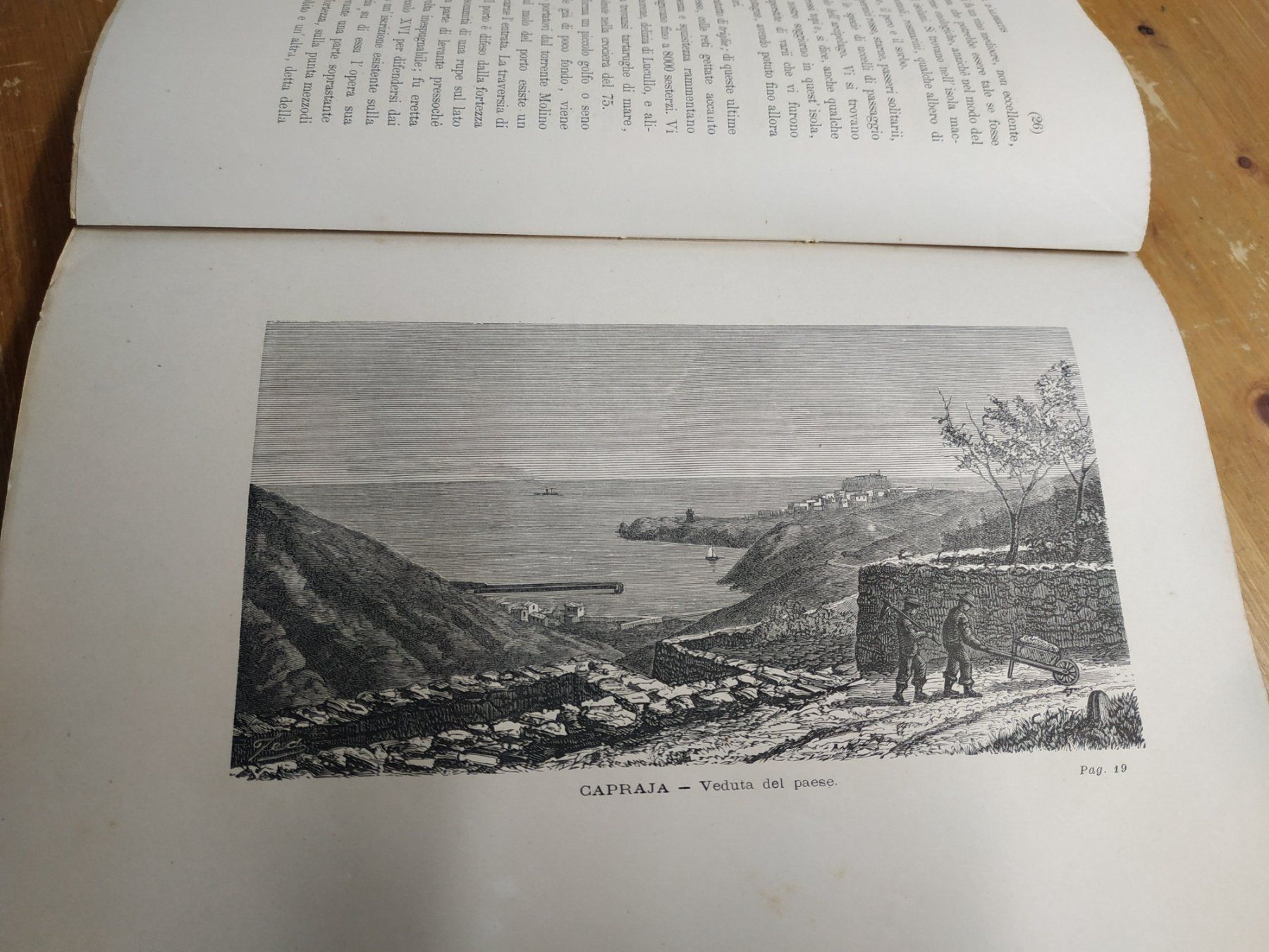 Libri: Schiff - Nave - Viaggi - "Crociera del Violante" - 1877 – Usato da Sorengo venduto da 74in 8