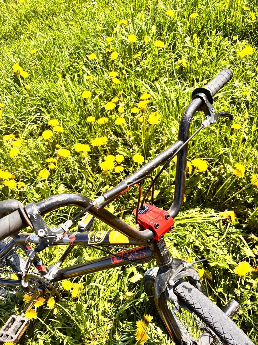 Felt Biciclette: Felt Bikes BMX – Usato da Gossau SG venduto da sangos 3