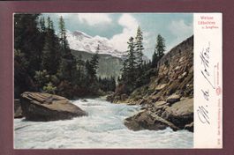 WEISSE LÜTSCHINE - Jungfrau - 1905