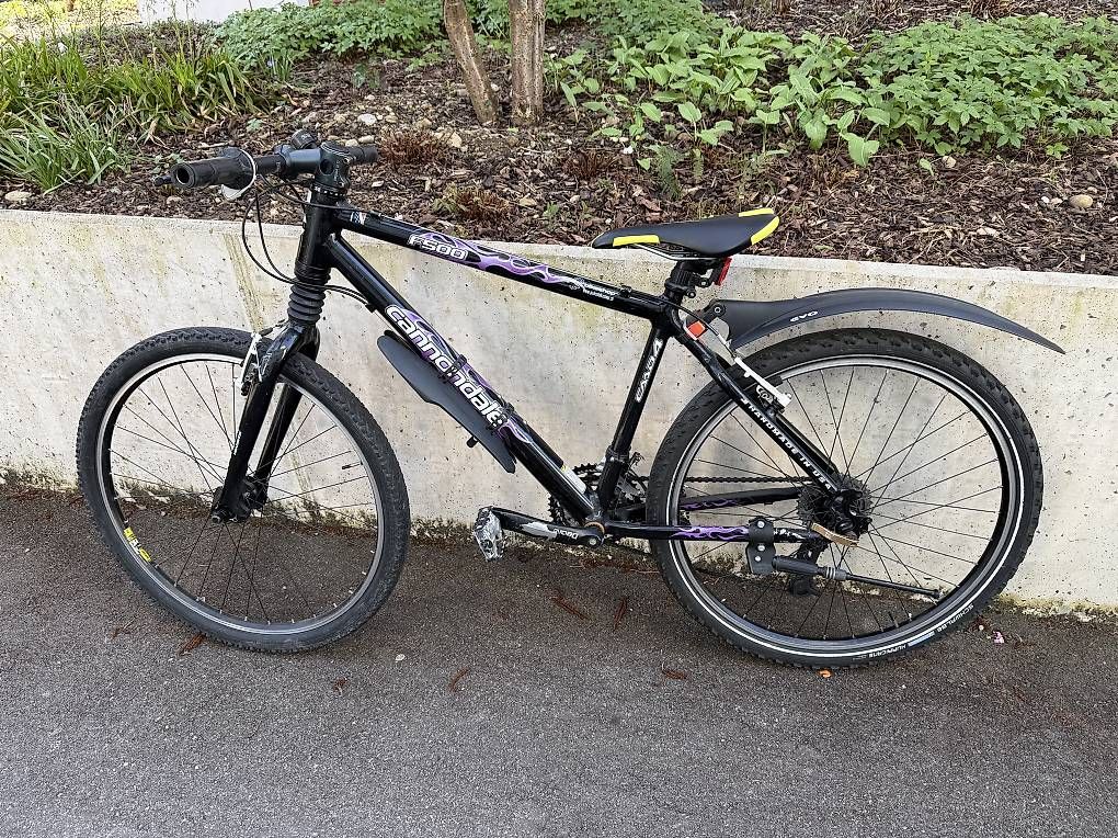 Biciclette: Cannondale – Usato da Ebikon venduto da cla_bh2n