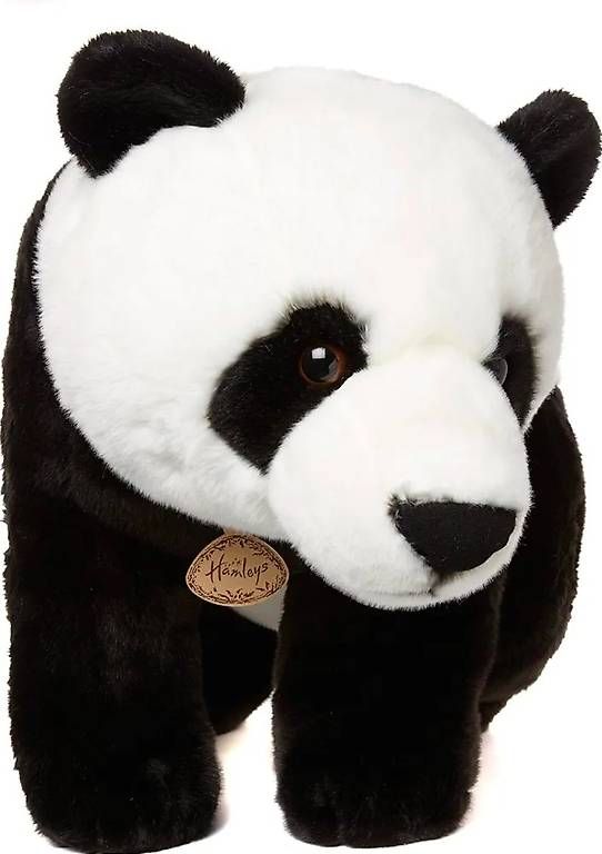 Jouets: Grosser Plüschpanda von Hamleys – D'occasion à Spreitenbach par abo_6vxk 2