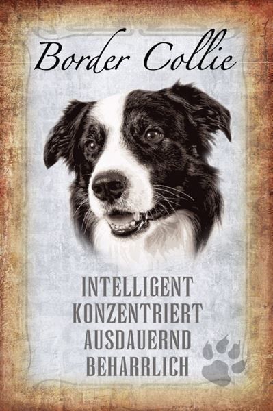 Insegne: Blechschild-STECKBRIEF-BORDER COLLIE HUN – Nuovo e nell'imballaggio originale da Rupperswil venduto da big-one-sale
