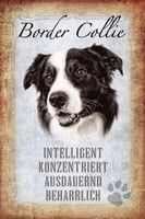 Blechschild-STECKBRIEF-BORDER COLLIE HUN