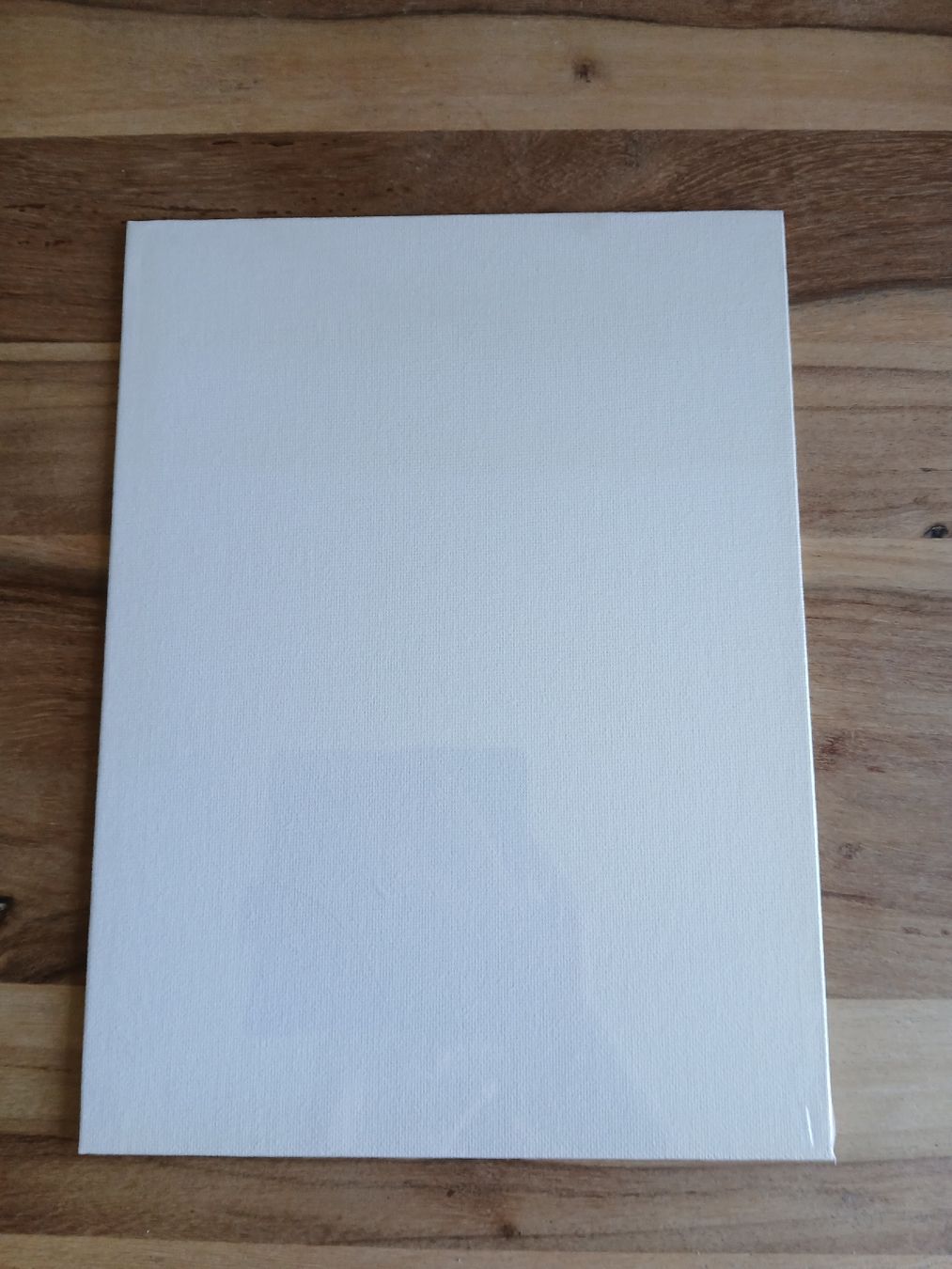 Dipinti: NEW! Phoenix Canvas Panel 9" x 12" new – Nuovo e nell'imballaggio originale da Dübendorf venduto da LoRi-2026 2