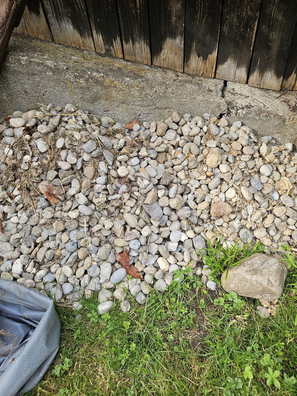 Pietre & tegole: Steine/ Gartensteine kostenlos – Usato da Saland venduto da Rose0109 1