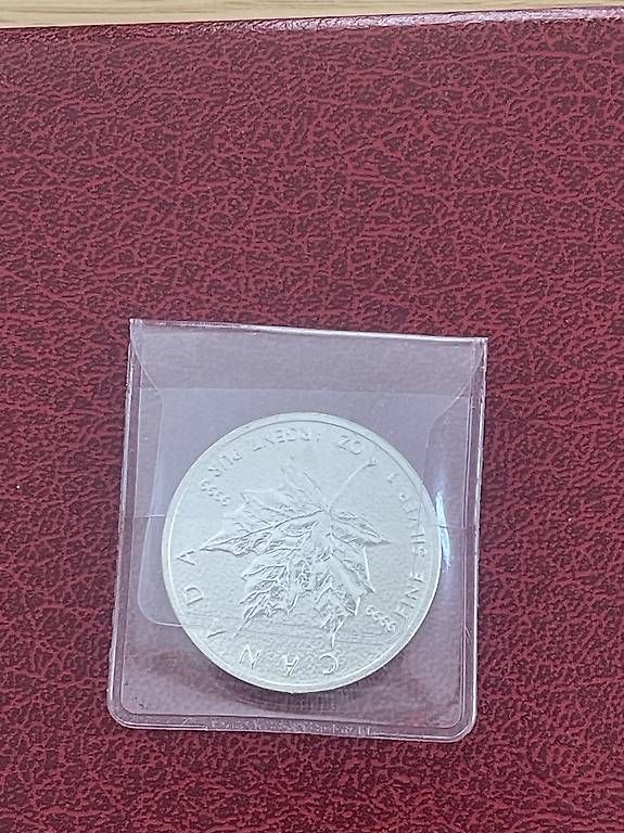 Tutti le monete: 1 Unze Silbermünze Canada Maple Leaf 2013 1 Oz Silber – Usato da Reinach BL venduto da present4you 2