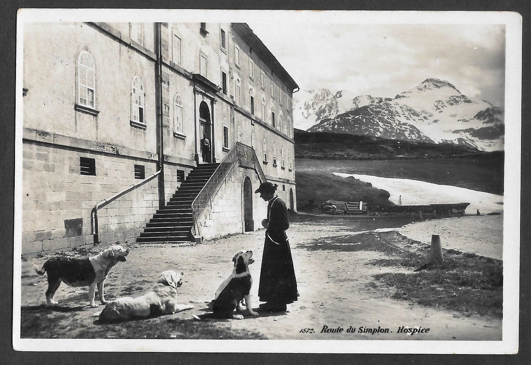 Cartes postales: Hospice du Simplon mit Hunden – D'occasion à Olten par clotaldi