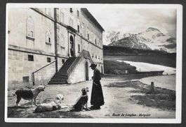 Hospice du Simplon mit Hunden
