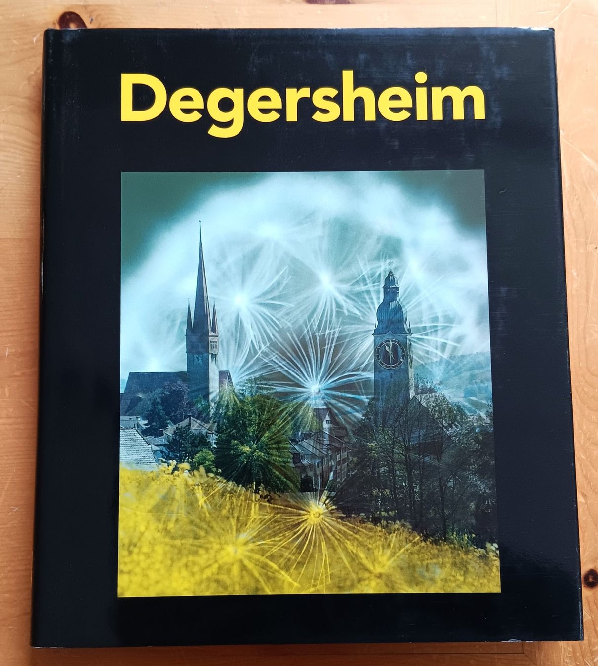 Libri: Gemeinde Degersheim Wolfertswil Kt. St.Gallen – Usato da Lichtensteig venduto da B-B-Bier