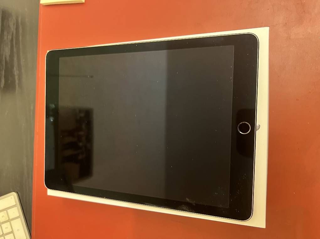 Tablet PC: iPad Pro, 9.7-inch, Wifi + Cellular, 128 GB – Usato da Regensdorf venduto da Eesposito