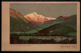Steindruck-AK Interlaken, Teilansicht mi