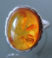 Bernstein Silber 925 Fingerring Gr. 61