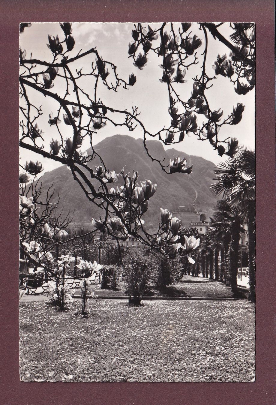 Cartoline postali: LUGANO - San Salvatore - 1957 – Usato da Pully venduto da nicecards
