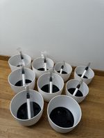 🪴 Diverse Selbstbewässerungstöpfe (⌀ 15 / 18 cm)