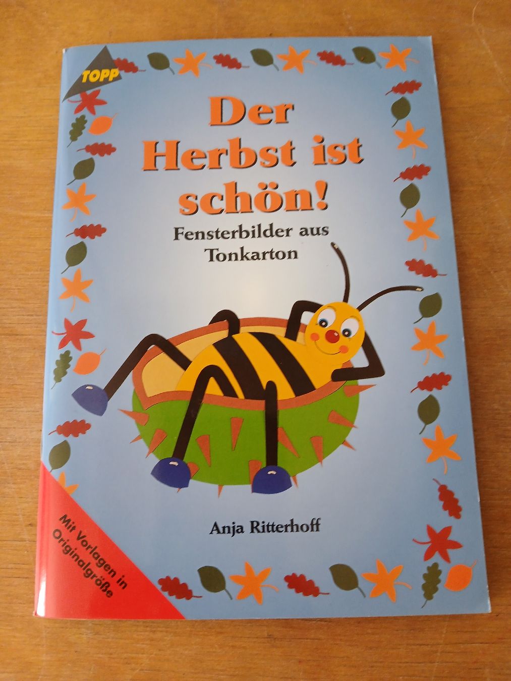 Libri: Bastelbuch – Usato da Ennetmoos venduto da kch_2tpv