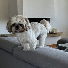Profile image of Efernandezr