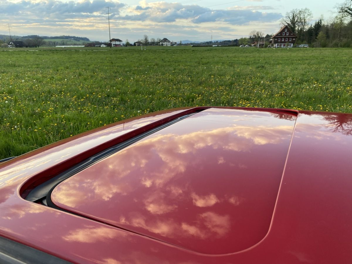 VW Automobili: VW Golf Country Allrad – Usato da Aristau venduto da Testdriver 4